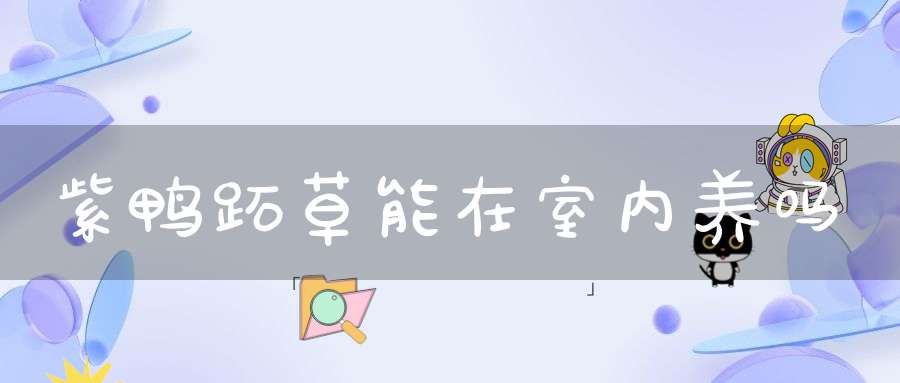 紫鸭跖草能在室内养吗？