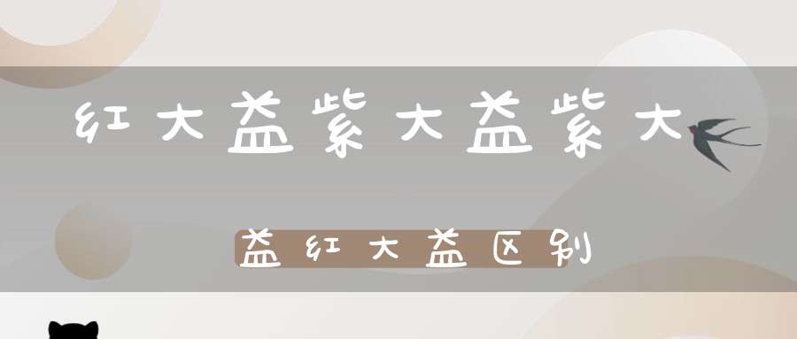 红大益紫大益紫大益红大益区别