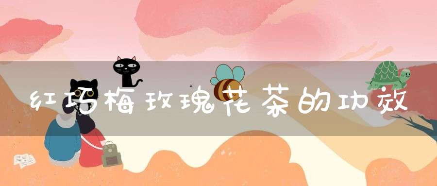 红巧梅玫瑰花茶的功效