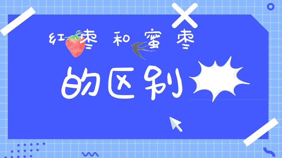 红枣和蜜枣的区别