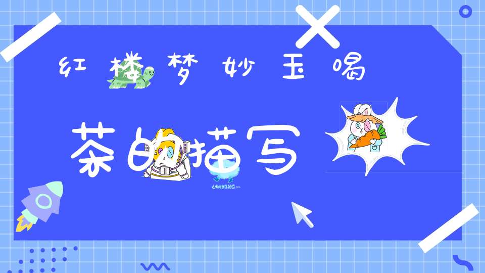 红楼梦妙玉喝茶的描写