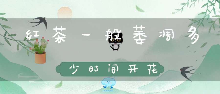 红茶一般萎凋多少时间开花
