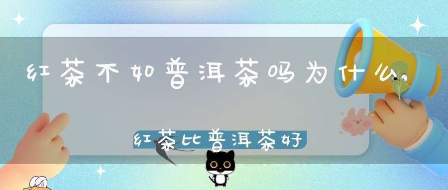 红茶不如普洱茶吗为什么,红茶比普洱茶好喝