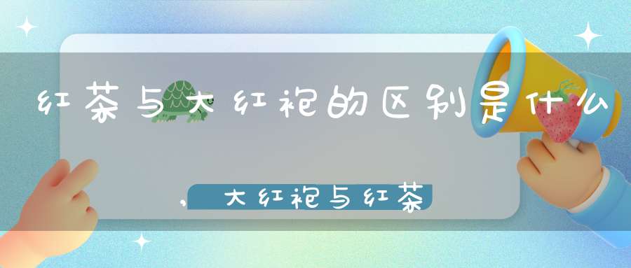 红茶与大红袍的区别是什么,大红袍与红茶哪个好