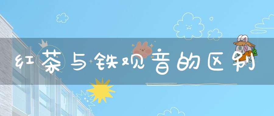 红茶与铁观音的区别