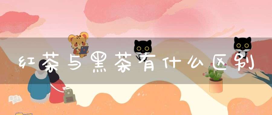 红茶与黑茶有什么区别