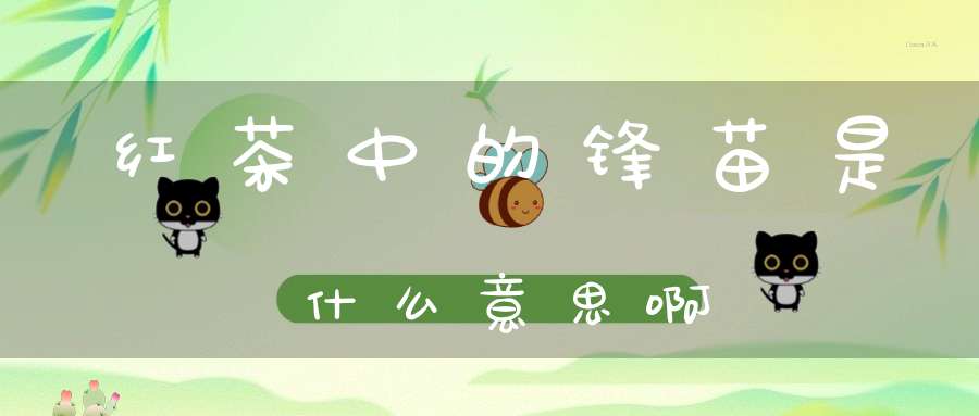 红茶中的锋苗是什么意思啊