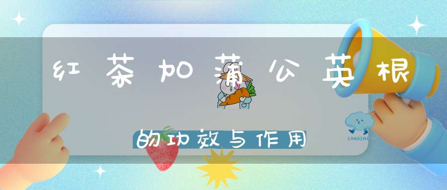 红茶加蒲公英根的功效与作用
