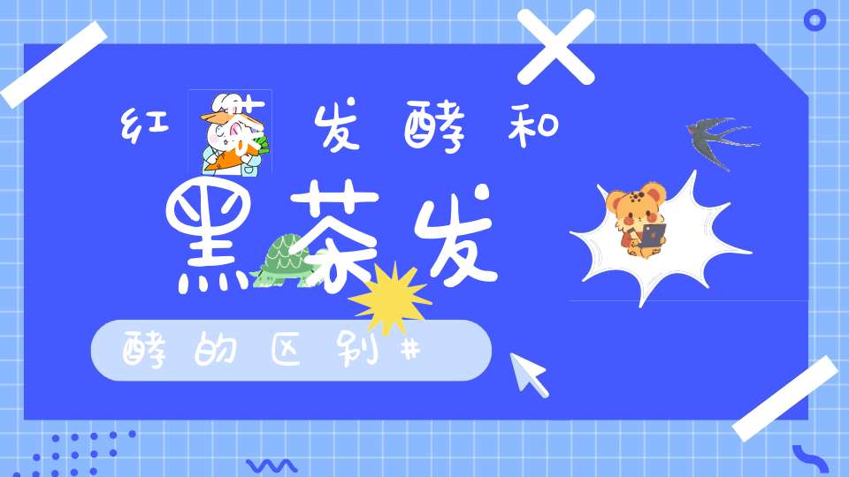 红茶发酵和黑茶发酵的区别