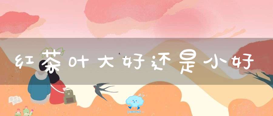红茶叶大好还是小好