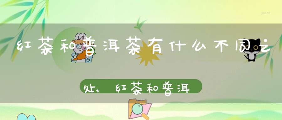 红茶和普洱茶有什么不同之处,红茶和普洱茶的功效与作用及区别