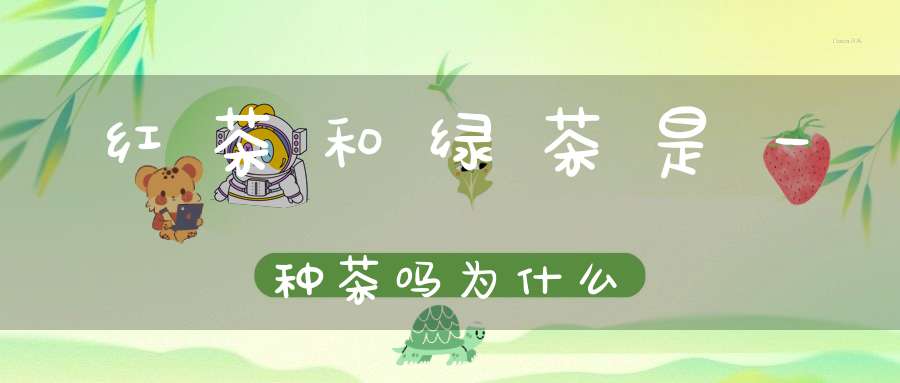 红茶和绿茶是一种茶吗为什么