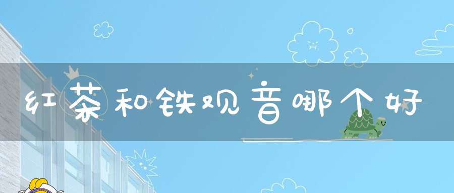 红茶和铁观音哪个好
