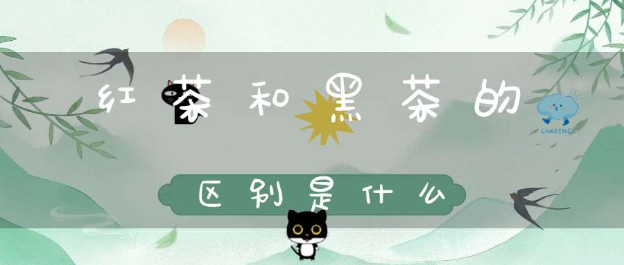 红茶和黑茶的区别是什么