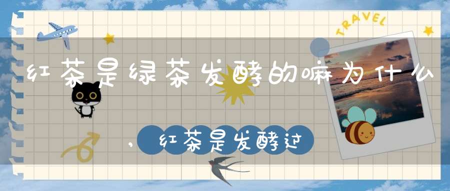 红茶是绿茶发酵的嘛为什么,红茶是发酵过的还是绿茶是发酵过的