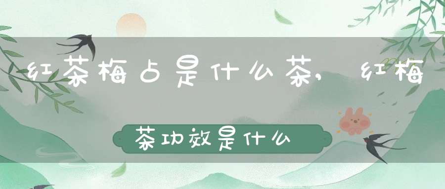 红茶梅占是什么茶,红梅茶功效是什么