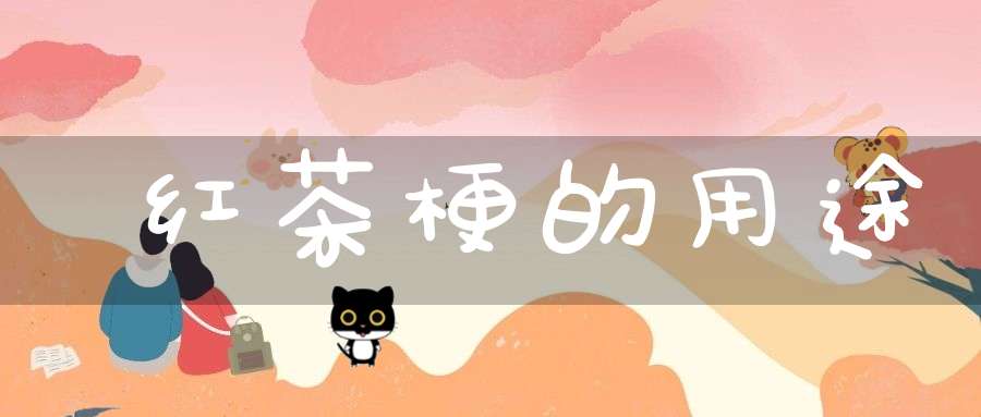 红茶梗的用途