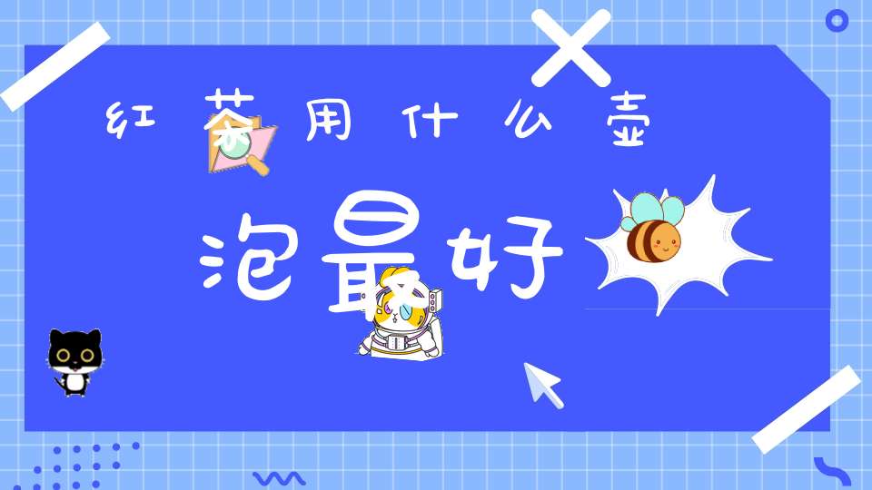 红茶用什么壶泡最好