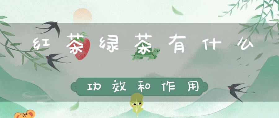 红茶绿茶有什么功效和作用