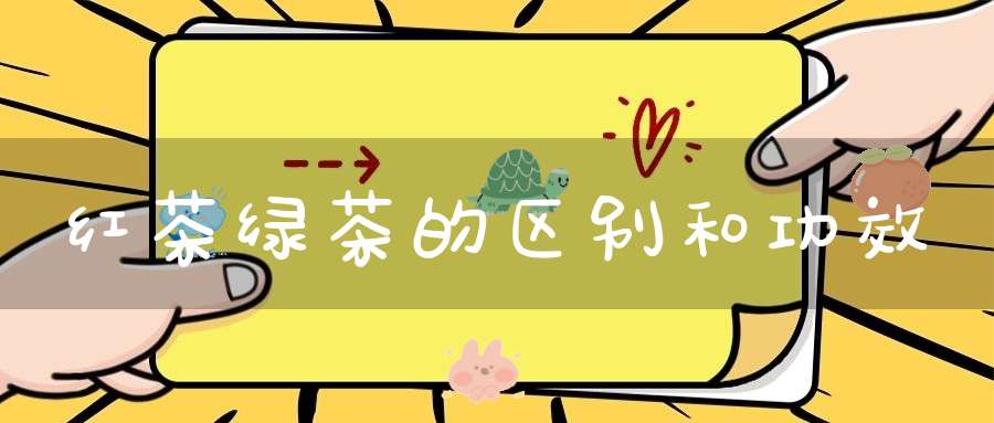 红茶绿茶的区别和功效