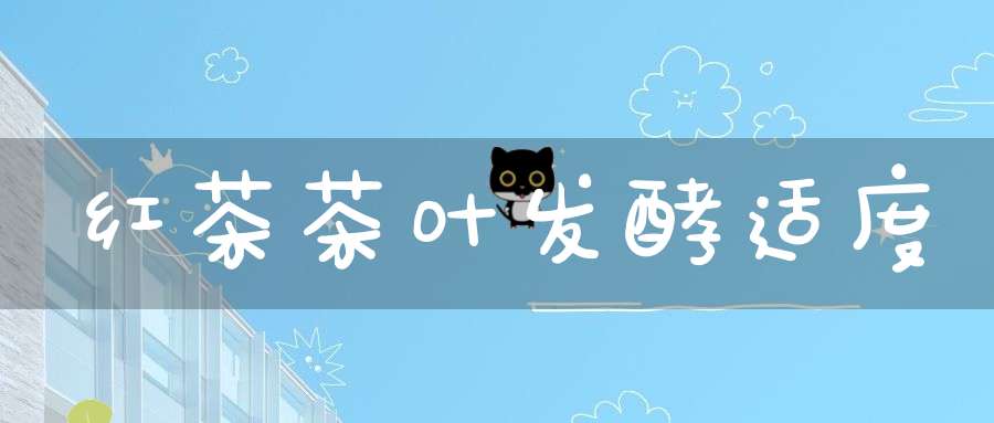 红茶茶叶发酵适度