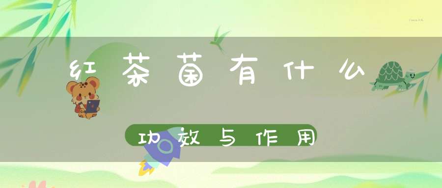红茶菌有什么功效与作用