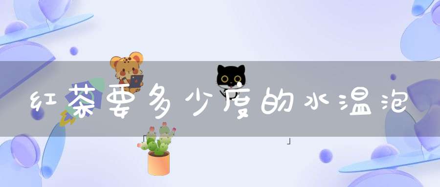 红茶要多少度的水温泡