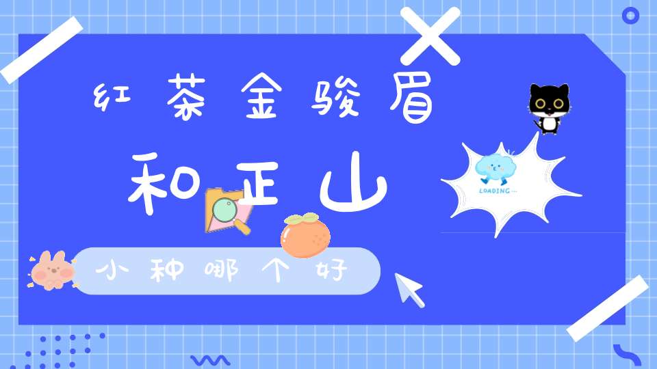 红茶金骏眉和正山小种哪个好