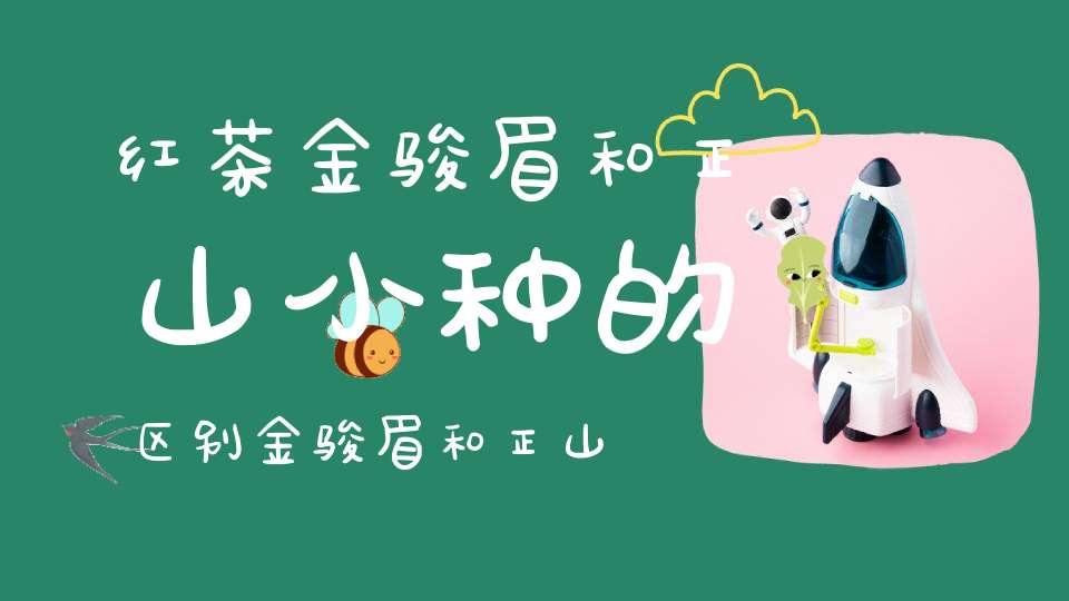 红茶金骏眉和正山小种的区别金骏眉和正山小种的区别在哪里