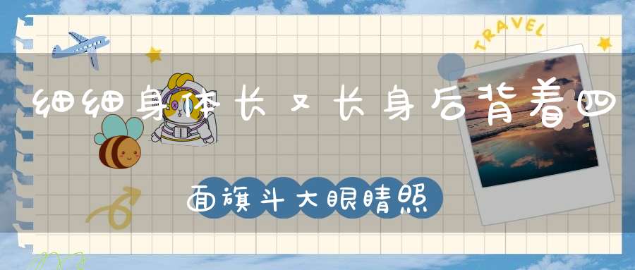 细细身体长又长，身后背着四面旗，斗大眼睛照前方，专除害虫有助