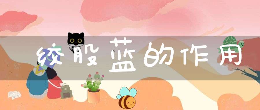 绞股蓝的作用