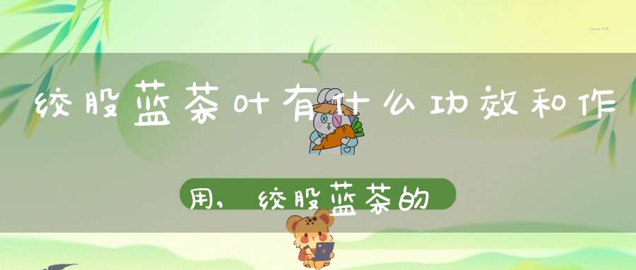绞股蓝茶叶有什么功效和作用,绞股蓝茶的功效和禁忌