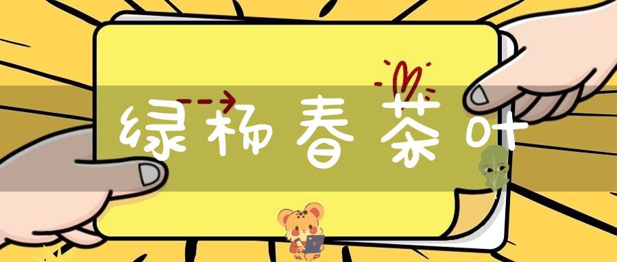 绿杨春茶叶