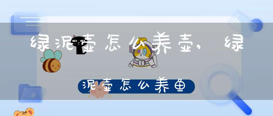 绿泥壶怎么养壶,绿泥壶怎么养鱼