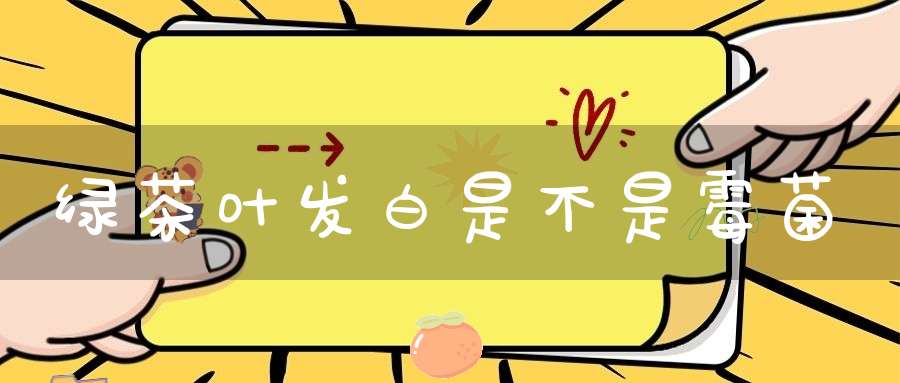 绿茶叶发白是不是霉菌