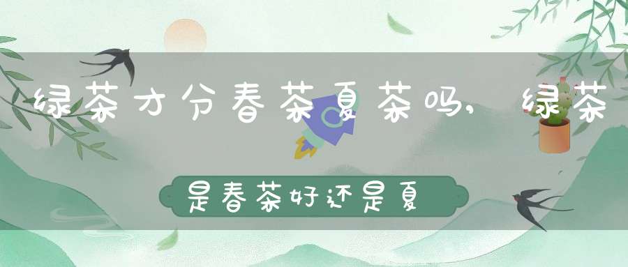 绿茶才分春茶夏茶吗,绿茶是春茶好还是夏茶好