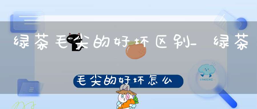 绿茶毛尖的好坏区别_绿茶毛尖的好坏怎么看