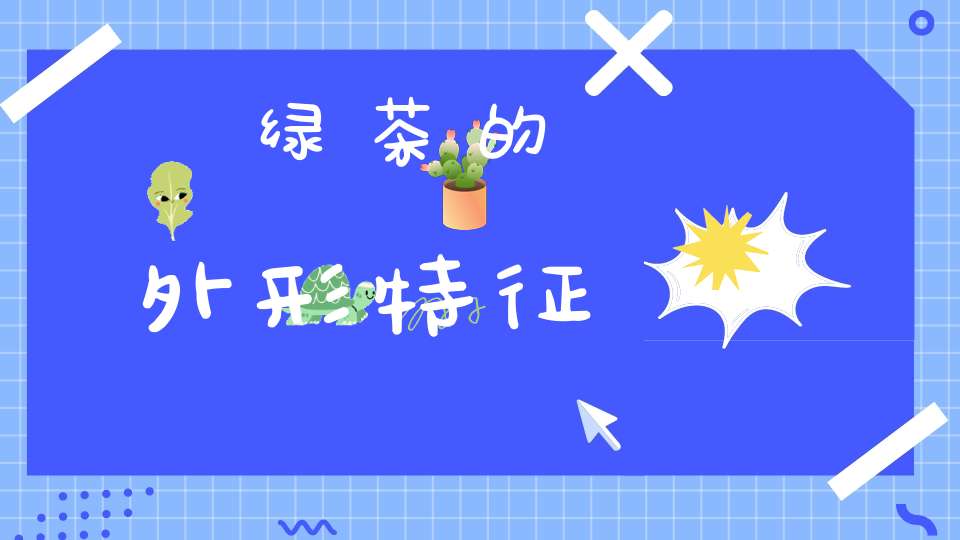 绿茶的外形特征