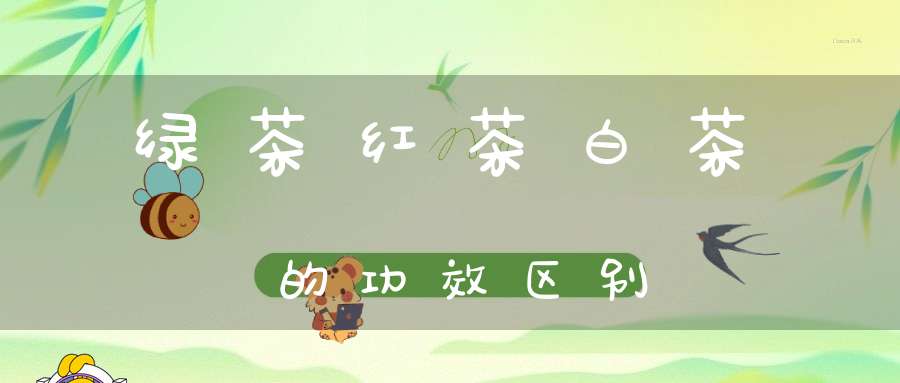 绿茶红茶白茶的功效区别