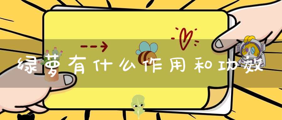 绿萝有什么作用和功效