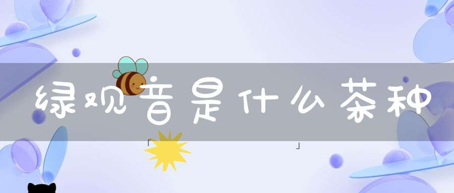 绿观音是什么茶种