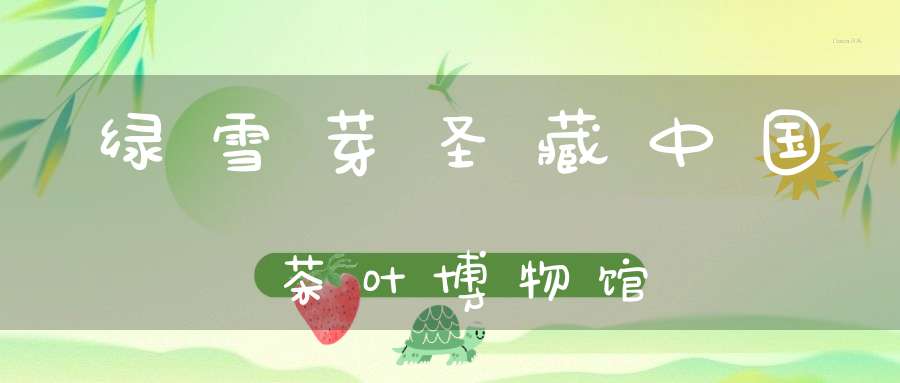 绿雪芽圣藏中国茶叶博物馆