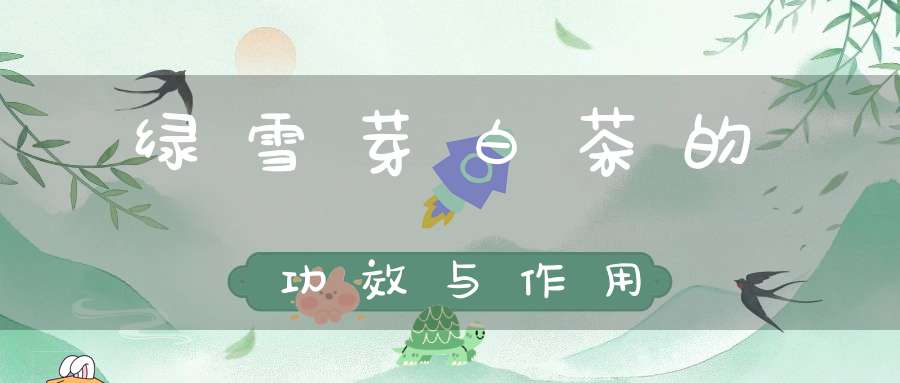 绿雪芽白茶的功效与作用