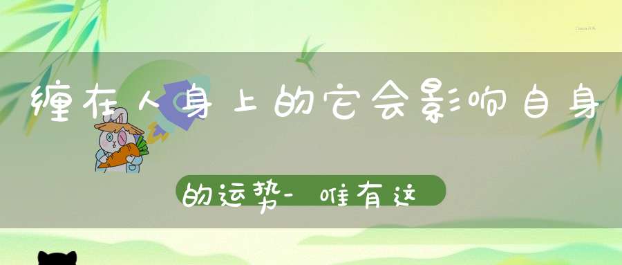 缠在人身上的它会影响自身的运势-唯有这样做才能改运