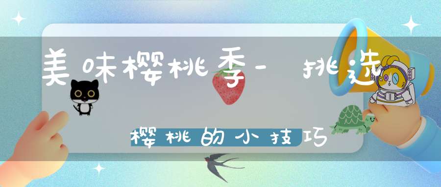 美味樱桃季-挑选樱桃的小技巧