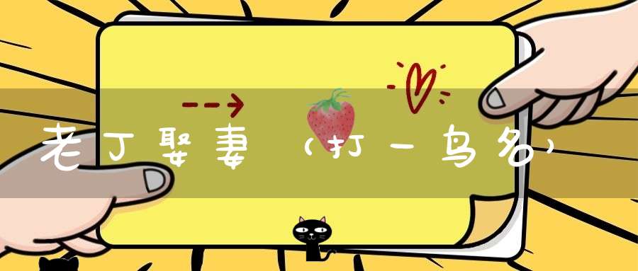 老丁娶妻（打一鸟名）