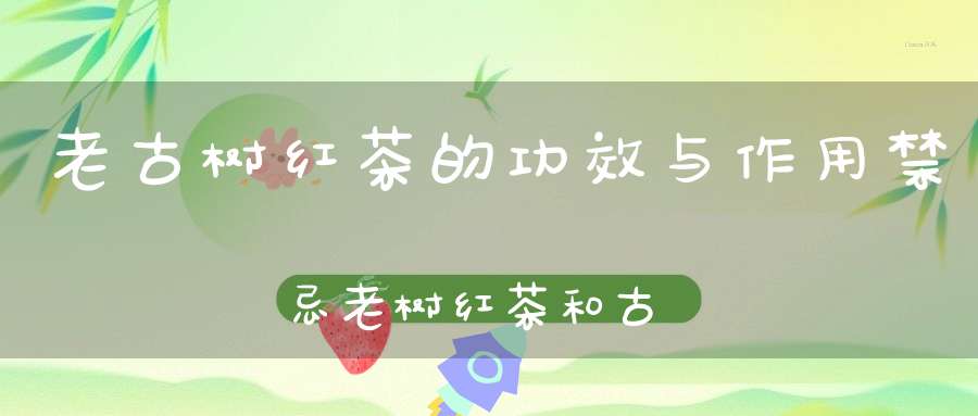 老古树红茶的功效与作用禁忌老树红茶和古树红茶区别