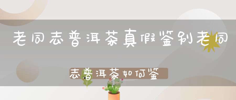 老同志普洱茶真假鉴别老同志普洱茶如何鉴别真伪