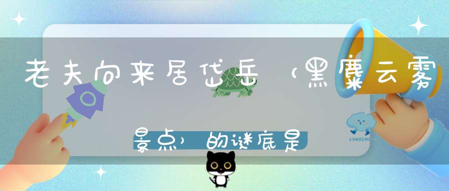 老夫向来居岱岳 （黑麋云雾景点）的谜底是什么?