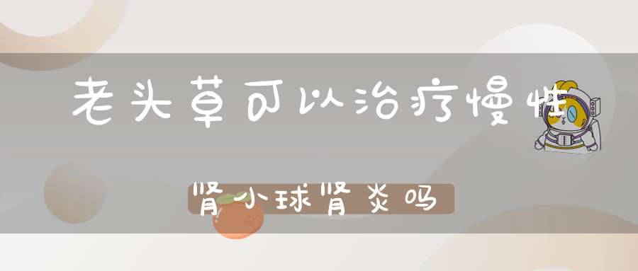 老头草可以治疗慢性肾小球肾炎吗？